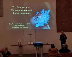 Vortrag Paul Westrich: Von Baumeistern, Blumenschläfern und Pollensammlern 
